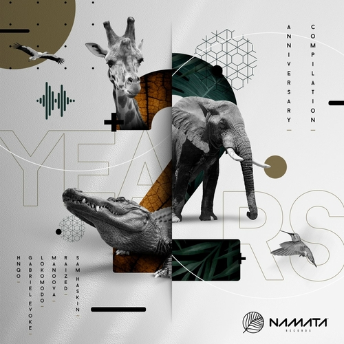 VA - 2 Years of Namata [NMT022]